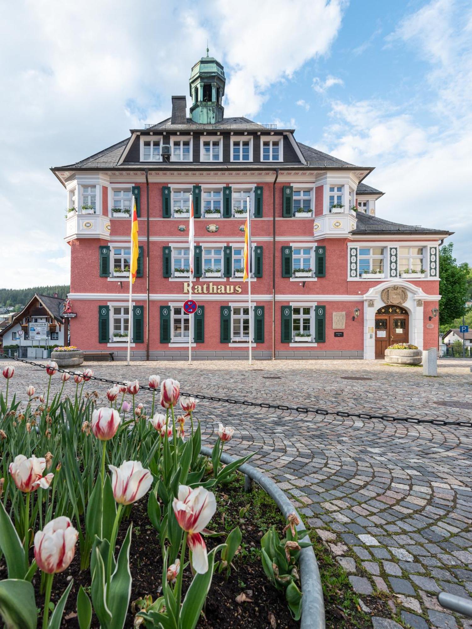 Ferienwohnung Sonnenglueck Mit Grosszuegigem Suedbalkon Lenzkirch Exterior photo